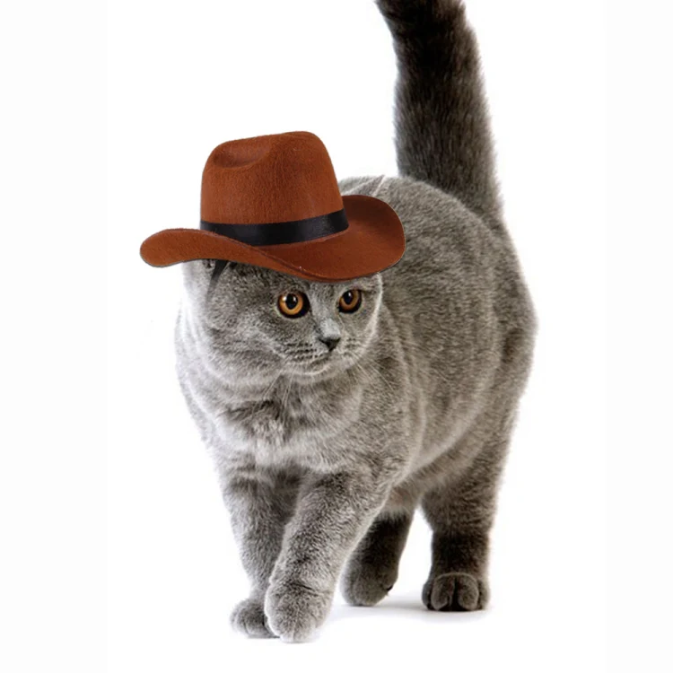 Adjustable Pet Cowboy Hat Dog Cosplay Cap Holiday Costume Party Decoration, Size: M(Brown) - Image 6