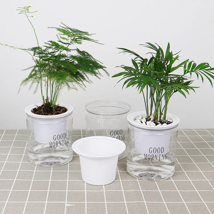 Automatic Water Absorption Hydroponic Pot Succulent Plant Flower Pot, Style:Transparent With Words - Image 7