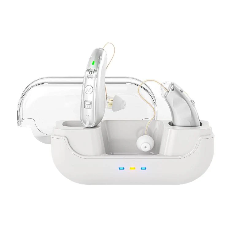 Behind-The-Ear Hearing Aids With Charging Case Smart Noise Cancelling & No Feedback Whistling(Silver)