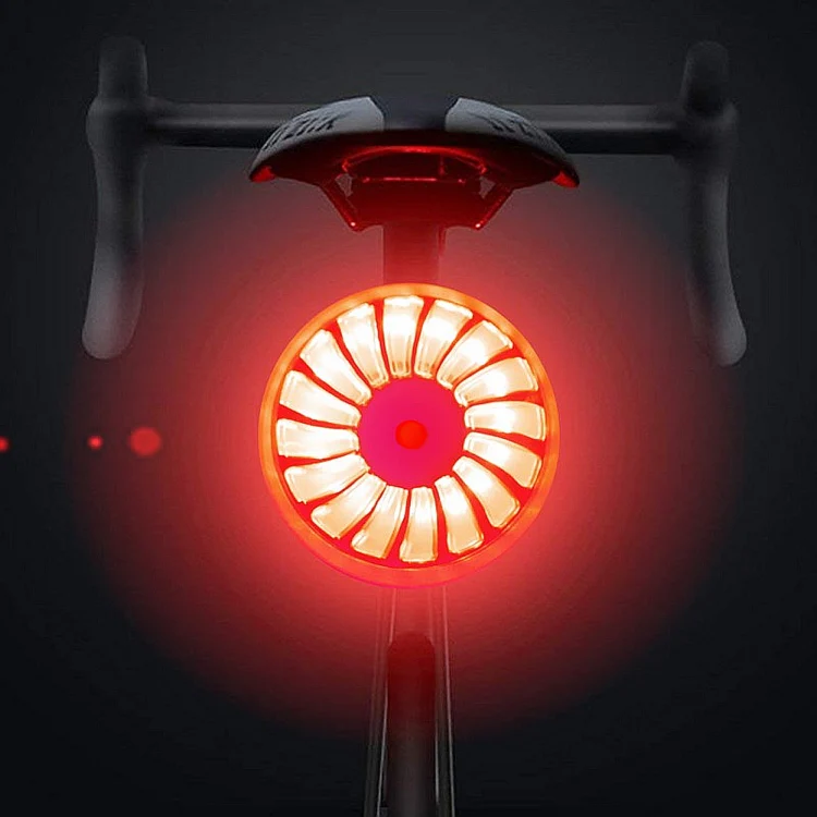 Bicycle Smart Sensor Brake Light USB Tail Light Warning Light(Red) - Image 6