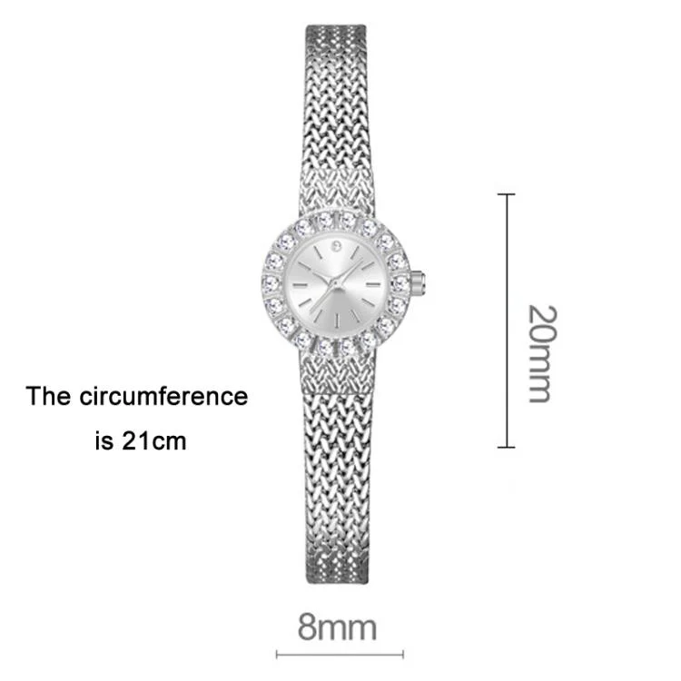 BS Bee Sister Elegant Quartz Watch Light Luxury Temperament Antique Women Watch Holiday Gift(Classic Silver) - Image 4