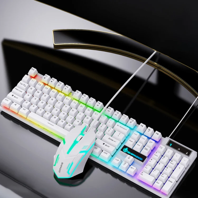 D500 RGB Brilliant Backlight Mouse and Keyboard Set (White)