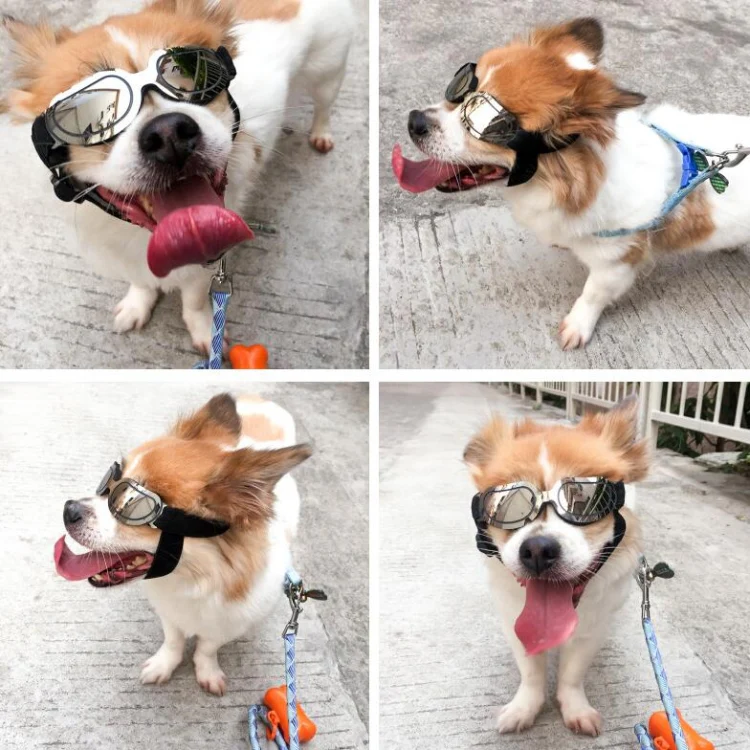 Dog Glasses Sunglasses Pet Glasses(black) - Image 10