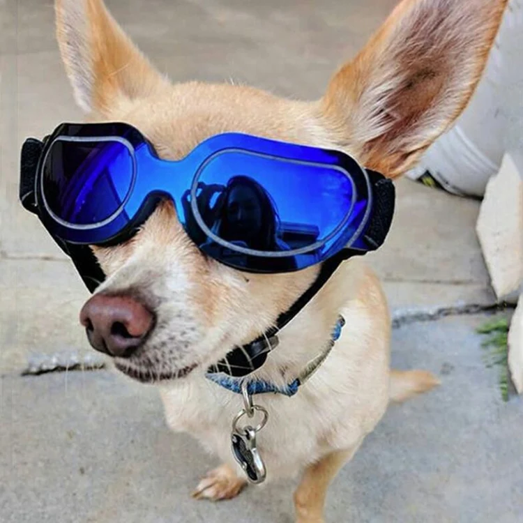 Dog Glasses Sunglasses Pet Glasses(black) - Image 8