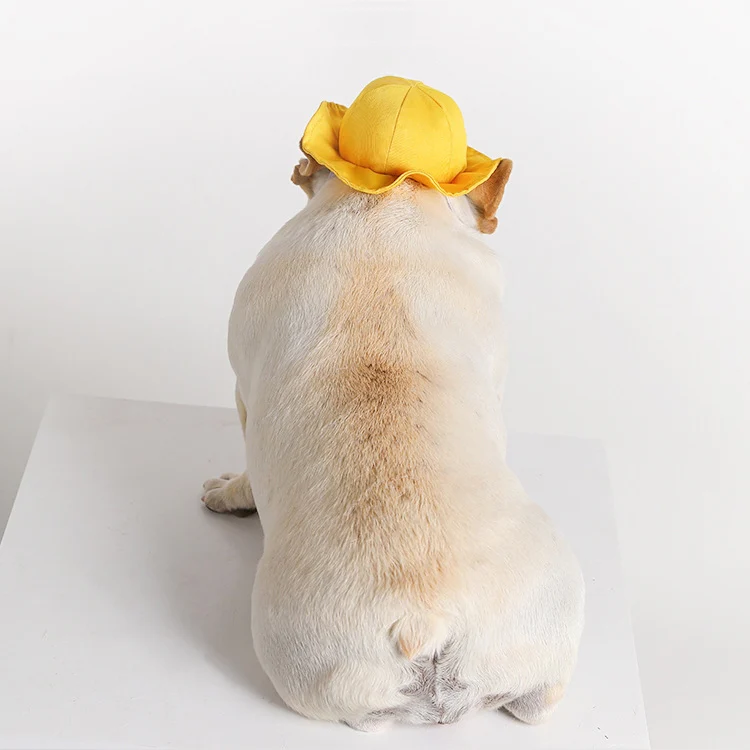 Dog Hat Summer Cool Photo Decoration Pet Cat Sun Hat, Size: M(Yellow Grid) - Image 6