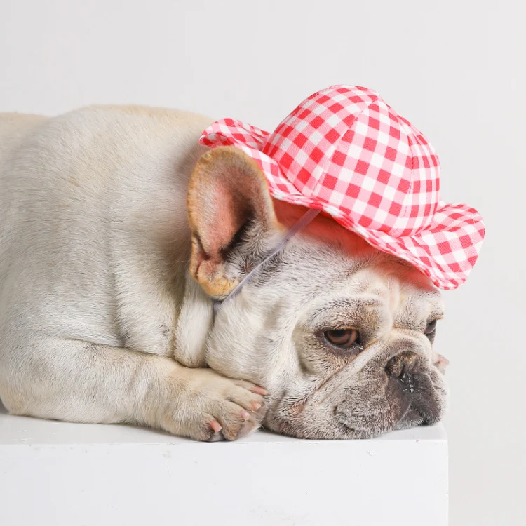 Dog Hat Summer Cool Photo Decoration Pet Cat Sun Hat, Size: S(Yellow Grid) - Image 5