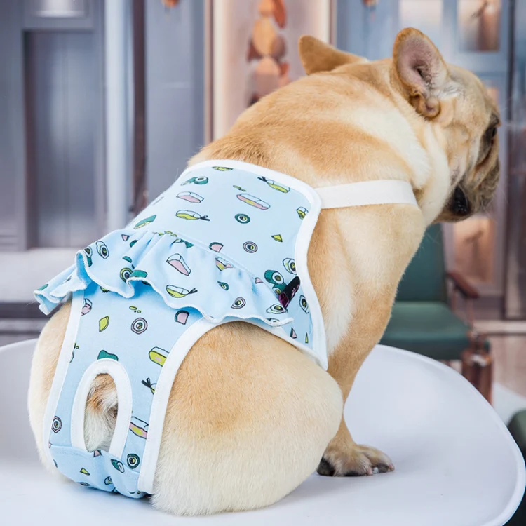 Dog Menstrual Pants Anti-harassment Menstrual Washable Sanitary Pants, Size: XL(Blue)