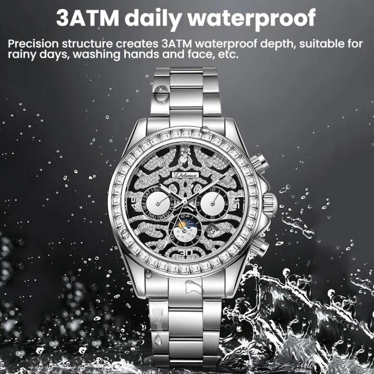Dulunwe 6055A 30m Waterproof Tiger-pattern Dial Automatic Mechanical Watch(Silver Steel Strap) - Image 4