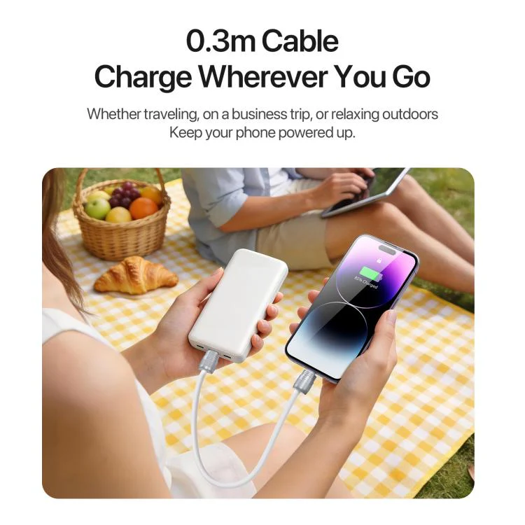 DUX DUCIS LCBA Series 27W Type-C to 8 Pin Lanyard Fast Charging Data Cable, Length: 30cm(White) - Image 9