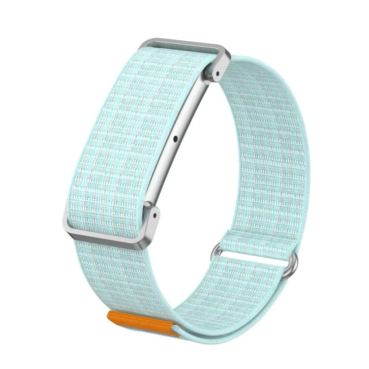 For Google Fitbit Air Metal Case Hybrid Nylon Hook and Loop Fastener Watch Band(Crystal Clear)