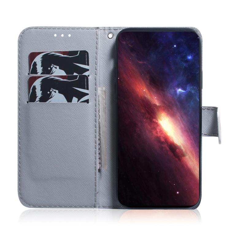 For Xiaomi 17T 5G Coloured Drawing Flip Leather Phone Case(Lion) - Image 4