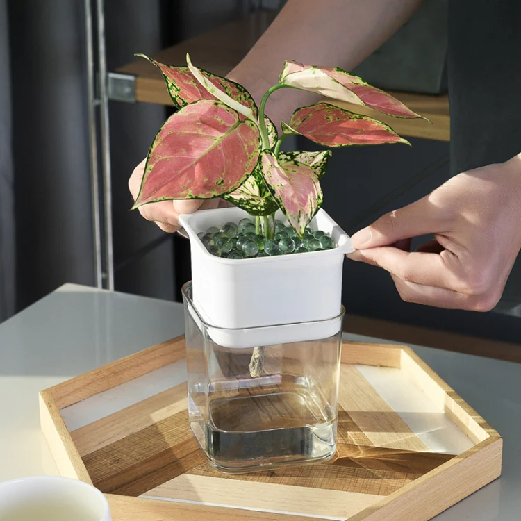 Green Radish Hydroponic Flowerpot Plastic Transparent Non-Porous Plant Automatic Water Absorption  Succulent Flowerpot(White) - Image 5