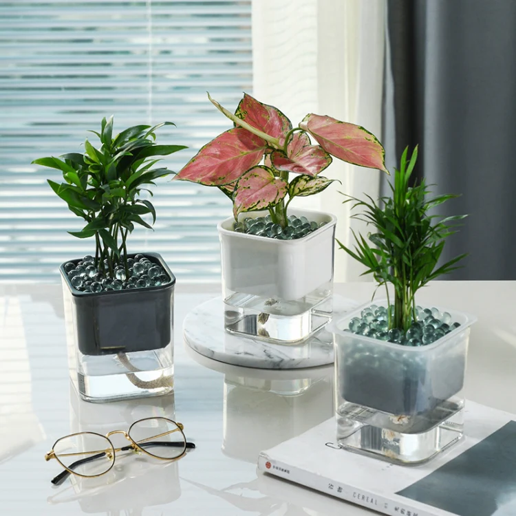 Green Radish Hydroponic Flowerpot Plastic Transparent Non-Porous Plant Automatic Water Absorption  Succulent Flowerpot(White) - Image 6