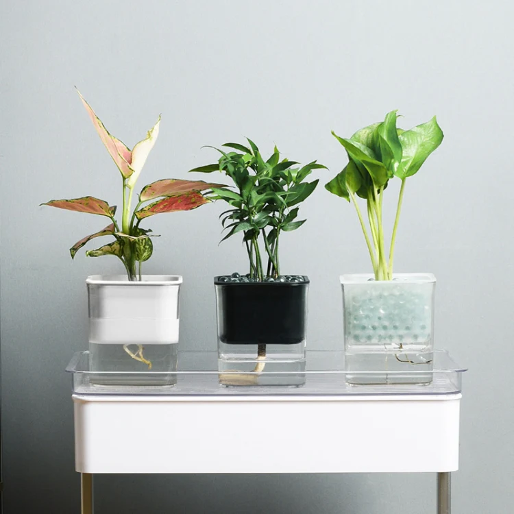 Green Radish Hydroponic Flowerpot Plastic Transparent Non-Porous Plant Automatic Water Absorption  Succulent Flowerpot(White) - Image 7