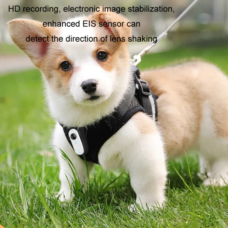 HD Outdoor Portable Pet Recorder Cycling Sports Camera, Specifications: With Silicone Collar - Image 4