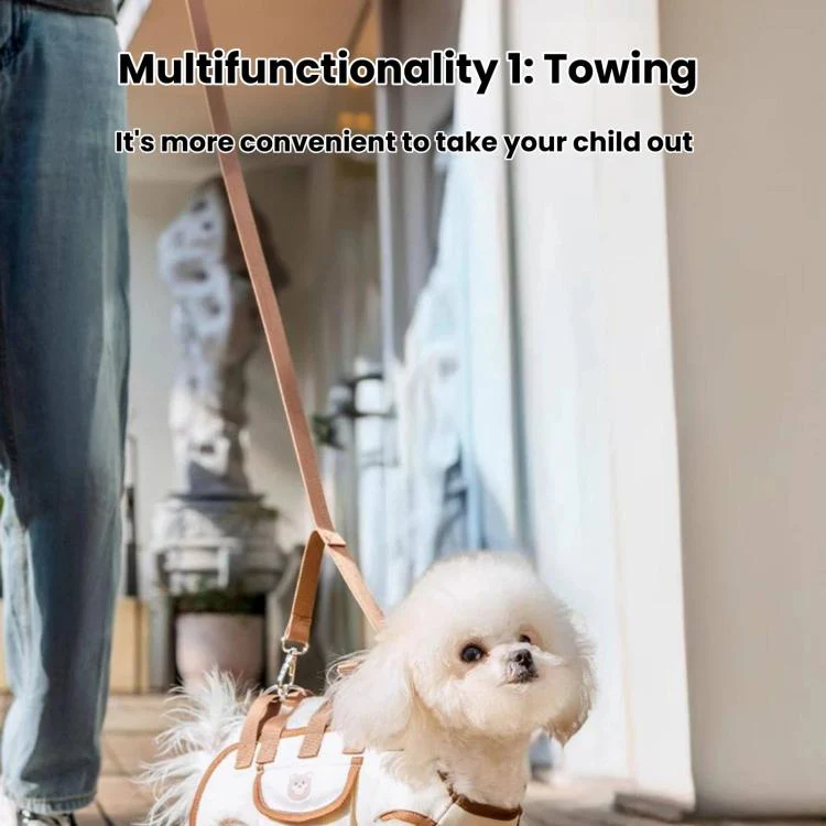 Hipipet Portable Crossbody & Handheld Pet Shoulder Bag, Multifunctional Outdoor Carrier For Cats & Dogs, Size: XL(Brown) - Image 3
