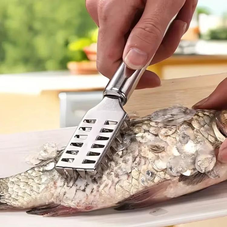 LsCook Square Stainless Steel Fish Scaler - Image 5
