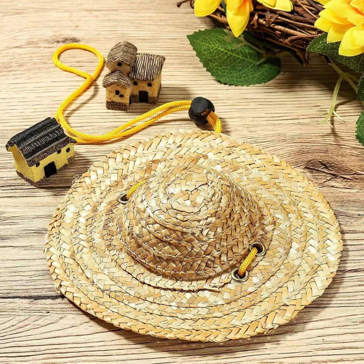 Mini Pet Straw Hat Cat Dog Birthday Party Sun Visor Hat, Size: L 16cm - Image 5