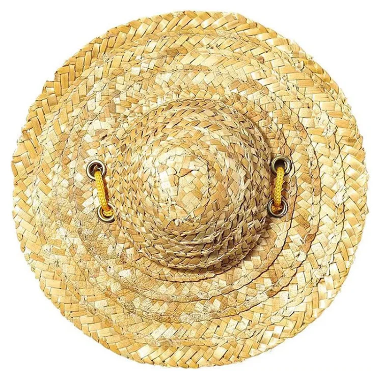 Mini Pet Straw Hat Cat Dog Birthday Party Sun Visor Hat, Size: XL 20cm