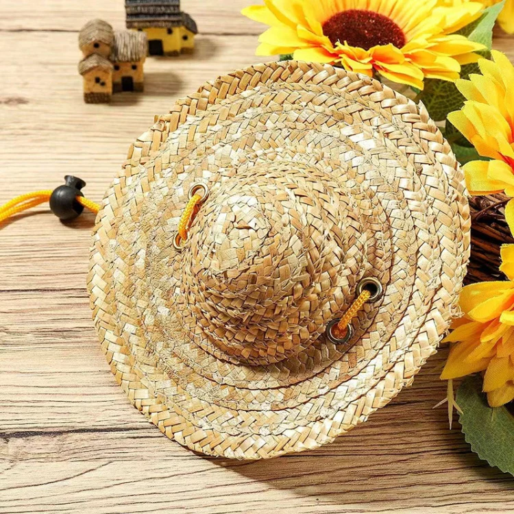 Mini Pet Straw Hat Cat Dog Birthday Party Sun Visor Hat, Size: XL 20cm - Image 4