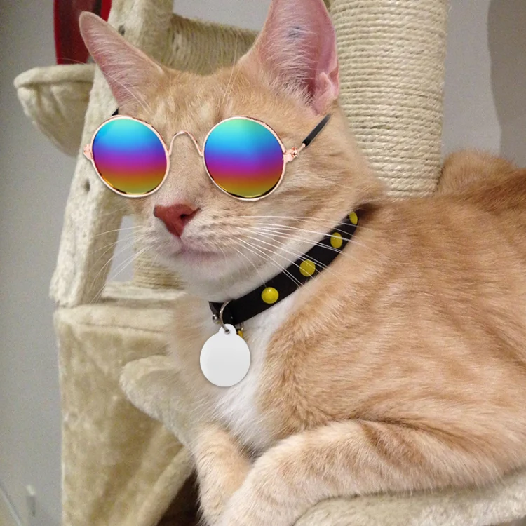 Multicolored Eye-wear Pet Cat Dog Fashion Sunglasses UV Sun Glasses Eye Protection(Black) - Image 6