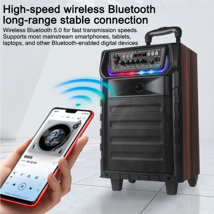 N-810 Outdoor Karaoke 8-inch Woofer RGB Trolley Bluetooth Speaker with Dual Wireless Mic, Plug:US Plug(Black) - Image 9