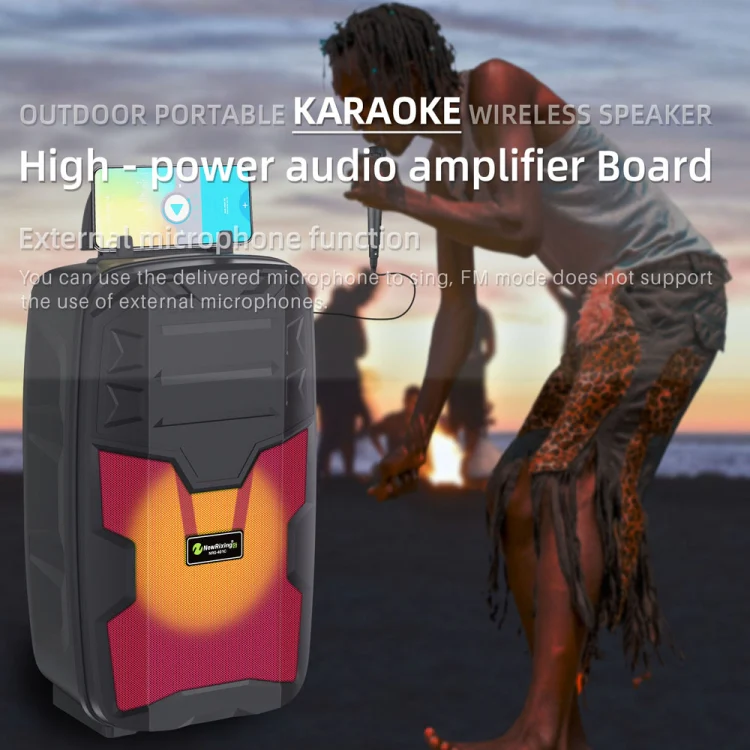 NewRixing NRG401C Outdoor Portable Karaoke Wireless Speaker High-Power Audio Amplifier No Mic(Black) - Image 3
