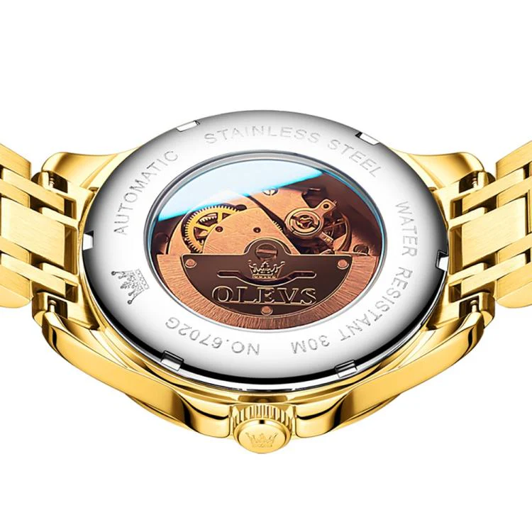 OLEVS 6702 Men Waterproof Luminous Dual Calendar Mechanical Watch(Blue Gold) - Image 3