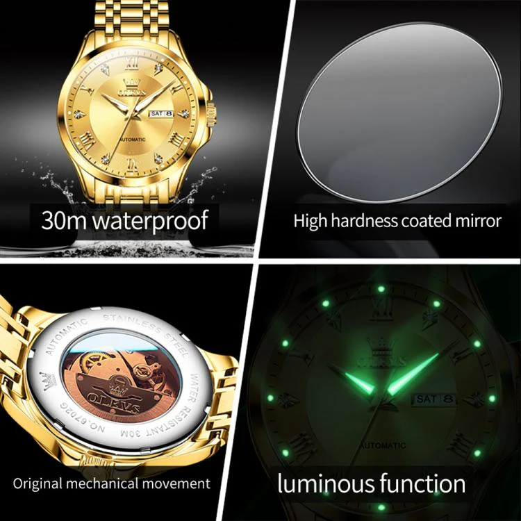 OLEVS 6702 Men Waterproof Luminous Dual Calendar Mechanical Watch(Blue Gold) - Image 4