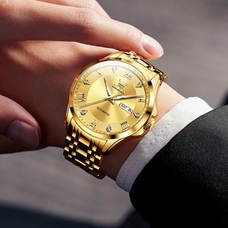 OLEVS 6702 Men Waterproof Luminous Dual Calendar Mechanical Watch(Blue Gold) - Image 5
