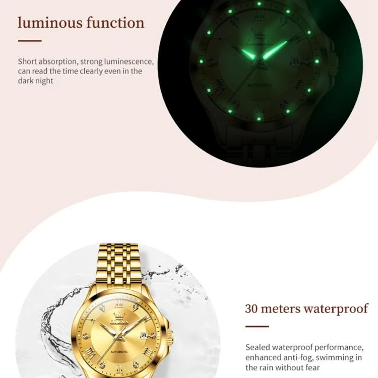 OLEVS 6702 Women Waterproof Luminous Single Calendar Mechanical Watch(Blue Gold) - Image 6
