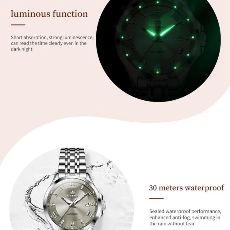 OLEVS 6702 Women Waterproof Luminous Single Calendar Mechanical Watch(Grey) - Image 6