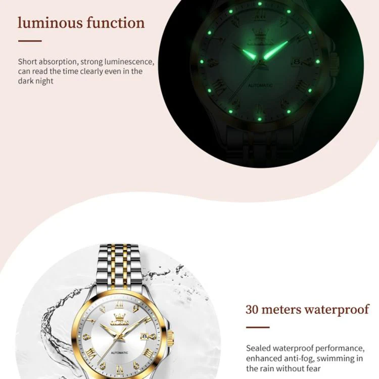 OLEVS 6702 Women Waterproof Luminous Single Calendar Mechanical Watch(White Gold) - Image 6
