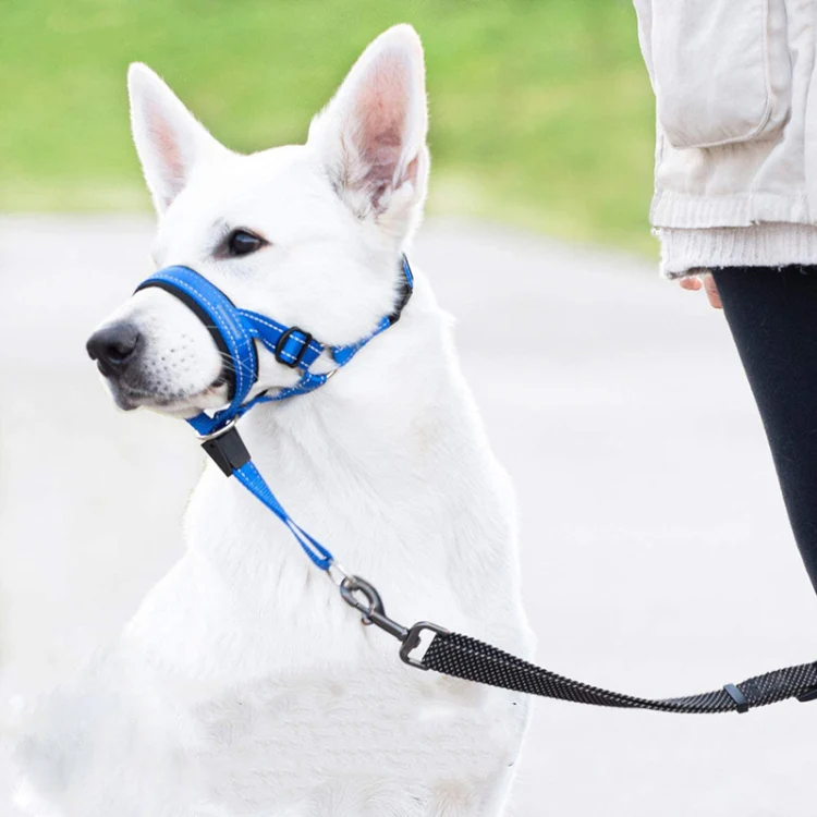 Pet Anti-Bite Leash Cover Riot Rush Pull Dog Leash, Size: S(Red) - Image 7