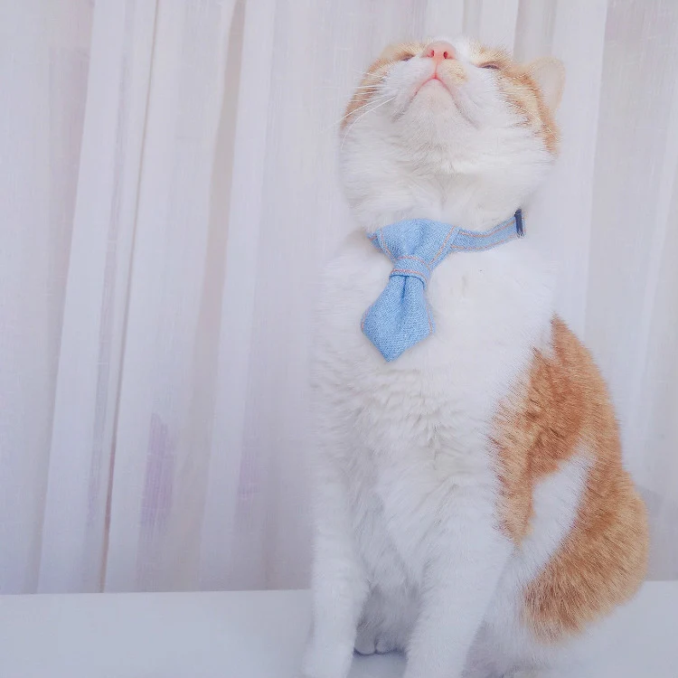 Pet Cowboy Bow Tie Collar Cats Dogs Adjustable Tie Collars Pet Accessories Supplies, Size:S 16-32cm, Style:Tie(Light Blue) - Image 8