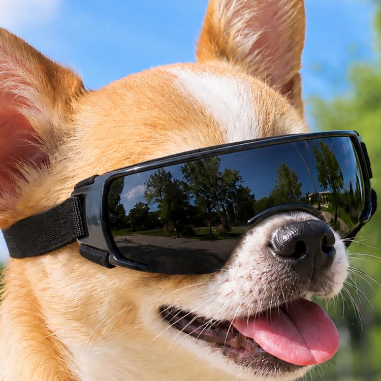 Pet Dog Sunglasses Soft Adjustable Sun Protection Pet Goggles For Small Medium Dogs(Black)