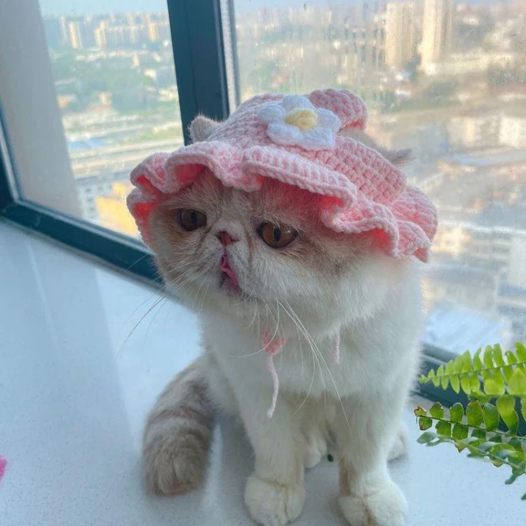Pet Headgear Props Cats And Dogs Knitted Hat Headwear, Size: M(Pink Flower) - Image 5