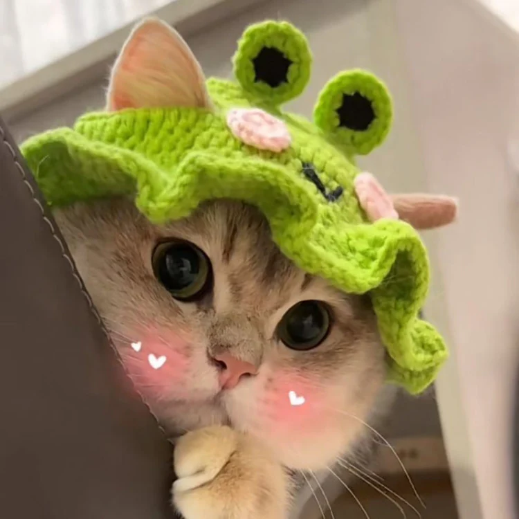Pet Headgear Props Cats And Dogs Knitted Hat Headwear, Size: S(Frog Hat) - Image 3
