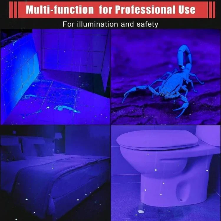Portable Mini Flashlight Outdoor Waterproof Handheld LED Flashlight, Style: 1 Battery Purple Light - Image 8