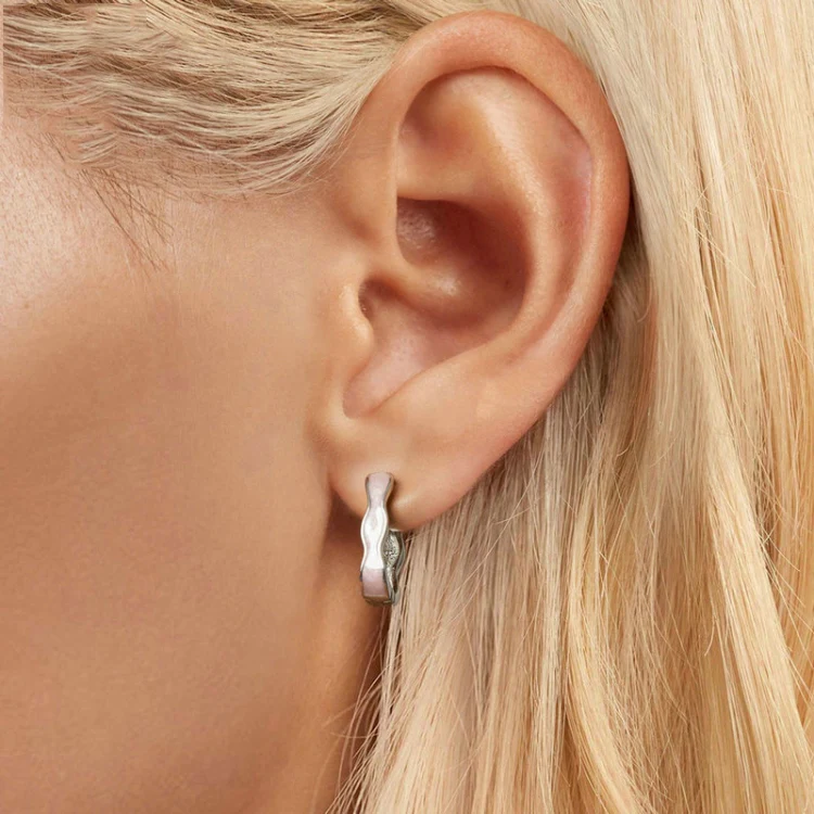 S925 Sterling Silver Pink Zircon Women Earrings(SCE1709) - Image 6