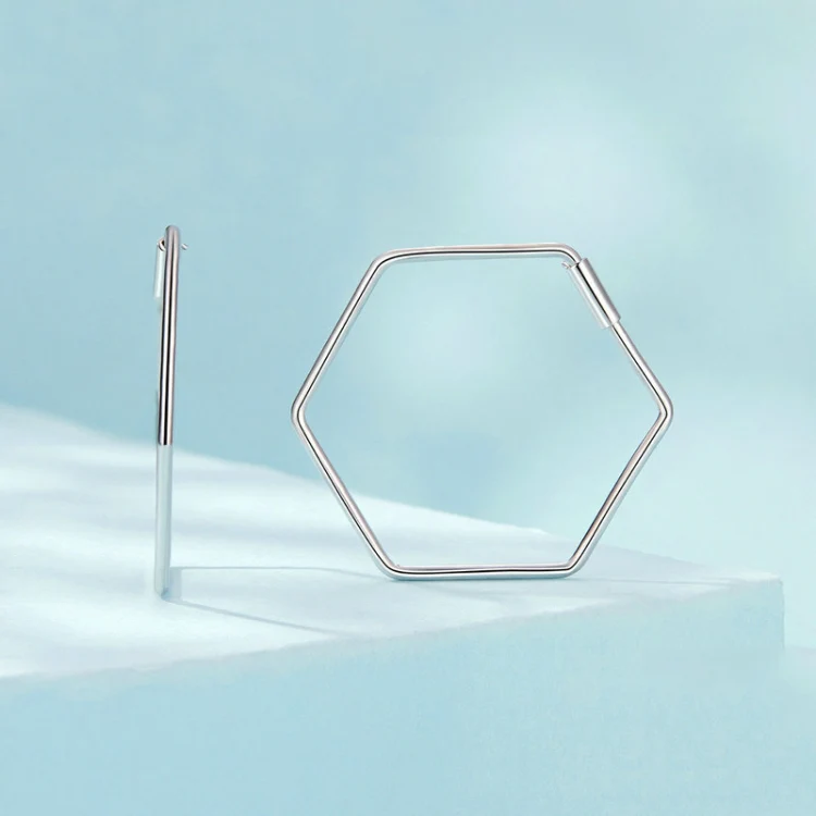 S925 Sterling Silver Zircon Hexagonal Earrings(SCE1710) - Image 2