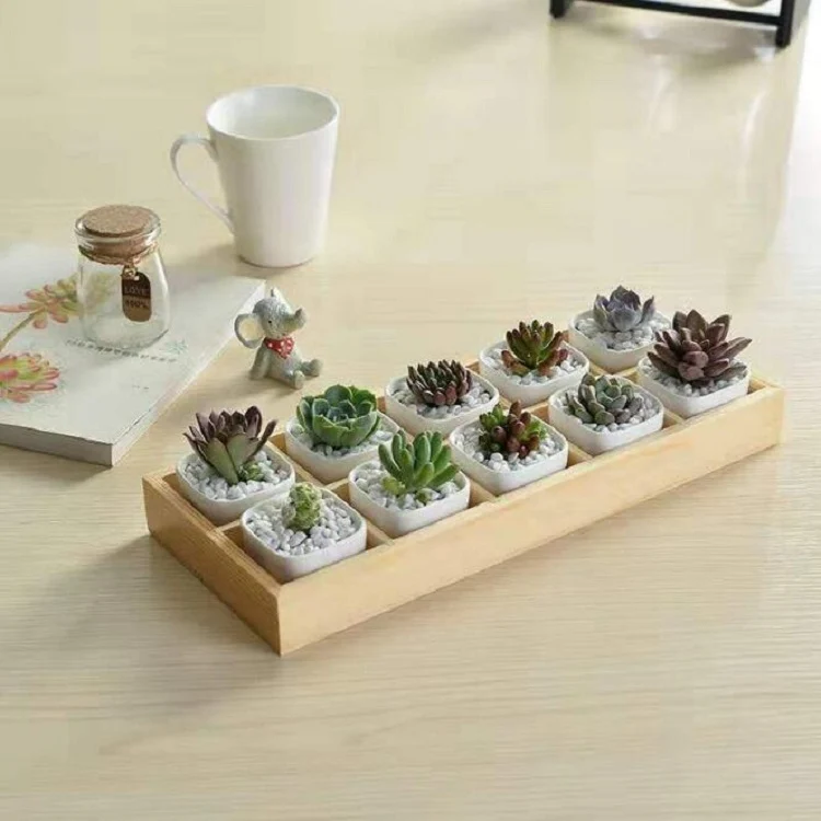Succulent Wooden Storage Box Landscape Garden Decoration, Specification:10 Cells - Image 4