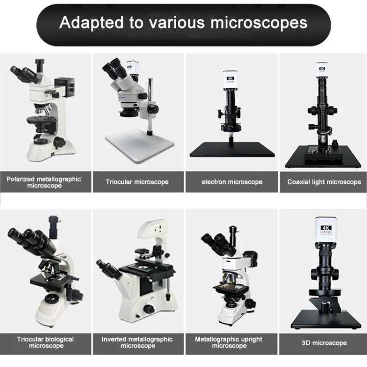 TAIDA TD-4KAF 60FPS CCD Edge Detection 4K Industry Microscope Camera, Plug:EU Plug - Image 5