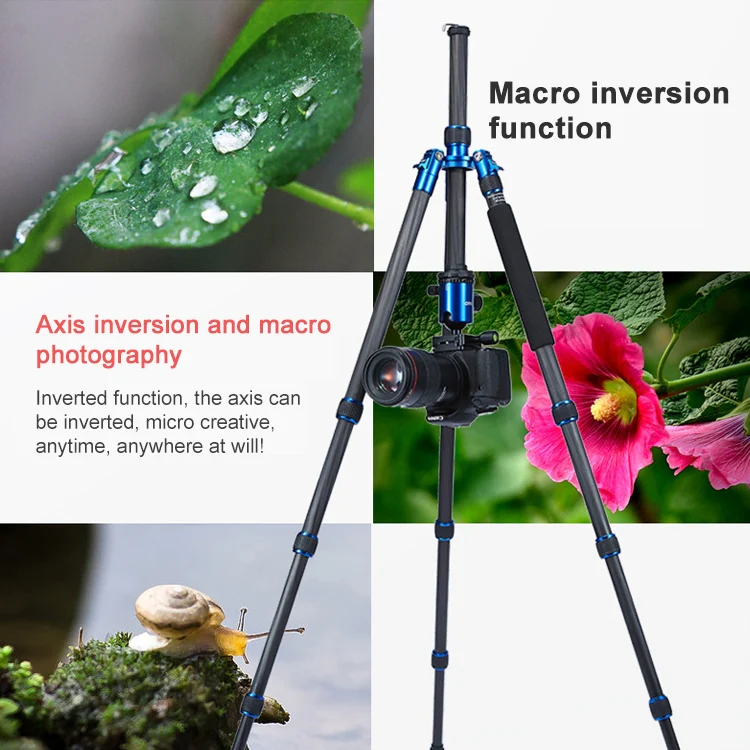 TRIOPO Oubao C-608S Adjustable Portable Carbon Fiber Tripod with Ball Head for SLR Camera - Image 15