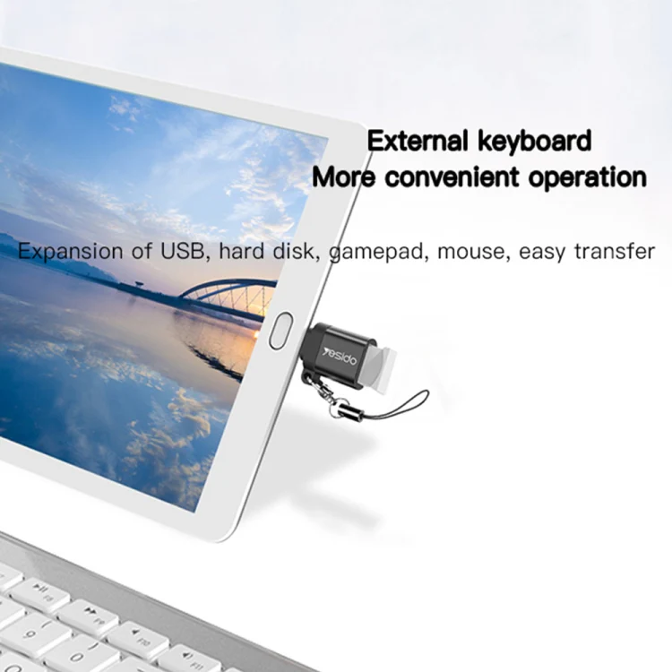 Yesido GS07 Micro USB to USB 2.0 OTG Mini Connector Adapter with Keychain(Black) - Image 3